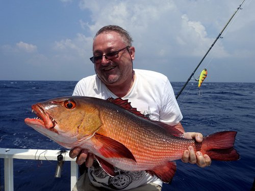 chnapal - red snapper 72 cm uloveny na privlac-jerk