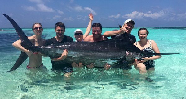 mecoun - black marlin 301 cm, resp. 250 cm mecoun - black marlin 301 cm, resp. 250 cm