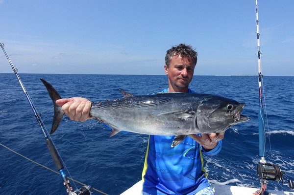 bonito 70 cm ulovene na wobbler-trolling bonito 70 cm ulovene na wobbler-trolling
