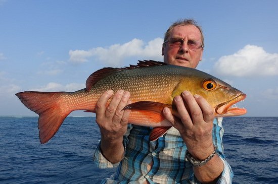 chnapal - red snapper  cm uloveny na jerk