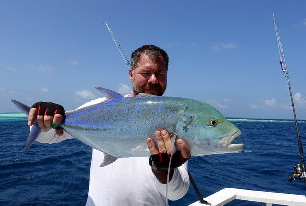 kranas modroploutvy - bluefin 72 cm uloveny na popp kranas modroploutvy - bluefin 72 cm uloveny na popp
