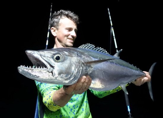 tunak jednobarvy - dogtooth 86 cm uloveny na jig