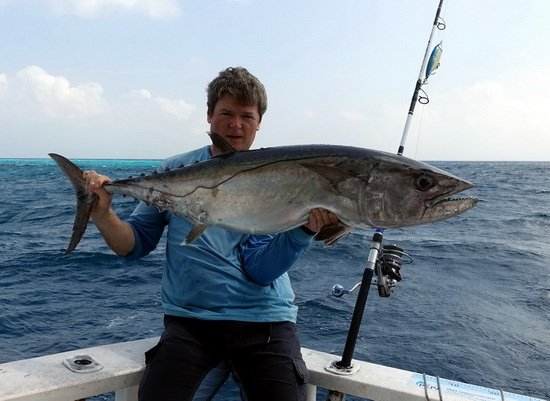 tunak jednobarvy - dogtooth 119 cm, 16,5 kg uloveny na jerk