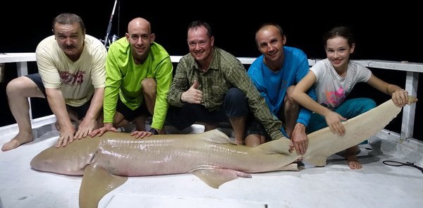 zralok rezavy - chuvicka (nurse shark) 250 cm zralok rezavy - chuvicka (nurse shark) 250 cm