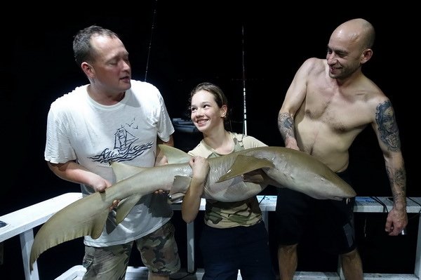 zralok rezavy - chuvicka (nurse shark) 155 cm zralok rezavy - chuvicka (nurse shark) 155 cm