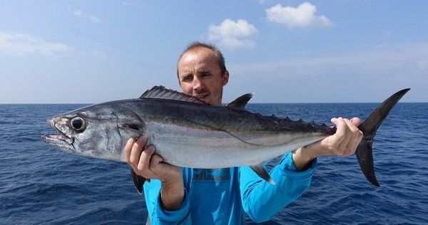 tunak jednobarvy - dogtooth 87 cm uloveny na jig tunak jednobarvy - dogtooth 87 cm uloveny na jig