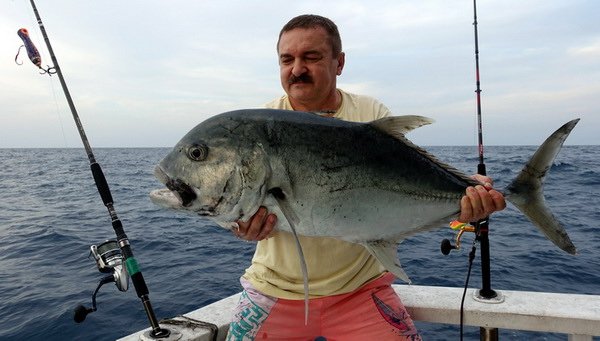 kranas obrovsky - GT 93 cm, 11,5 kg kranas obrovsky - GT 93 cm, 11,5 kg