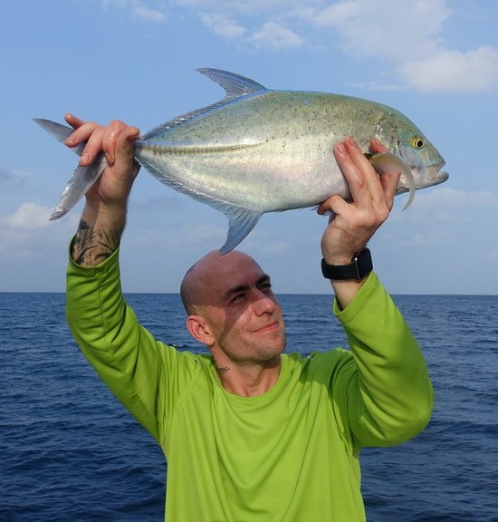 kranas modroploutvy - bluefin uloveny na jig kranas modroploutvy - bluefin uloveny na jig