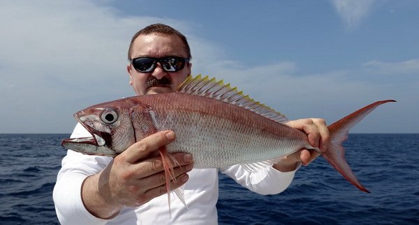 chnapal - ruby snapper uloveny na jig chnapal - ruby snapper uloveny na jig