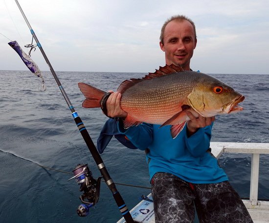 chnapal - red snapper  cm uloveny na popp