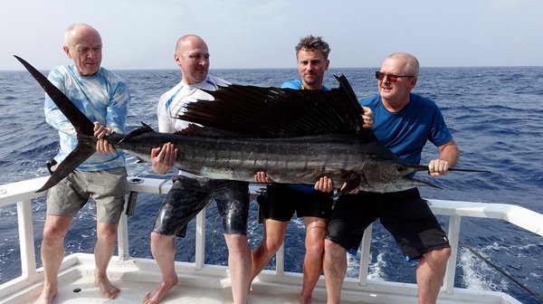 plachetnik 260 cm uloveny na trolling-wobbler plachetnik 260 cm uloveny na trolling-wobbler