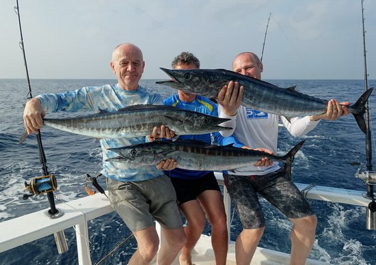 makrely Solandrovy-wahoo 105-115 cm ulovene na trolling makrely Solandrovy-wahoo 105-115 cm ulovene na trolling