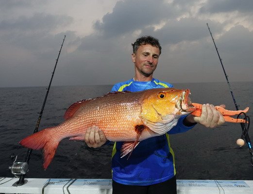 chnapal - red snapper 75 cm