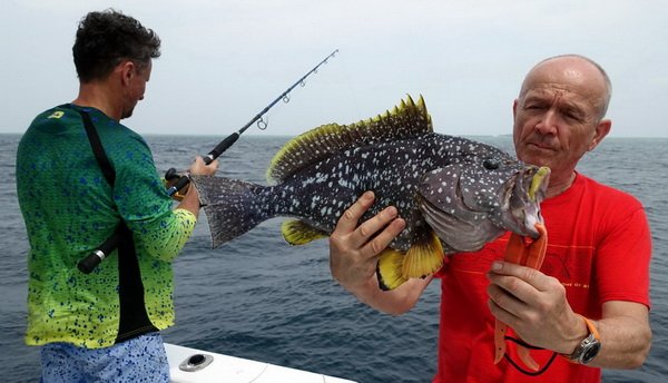 kanic 58 cm uloveny na jig kanic 58 cm uloveny na jig