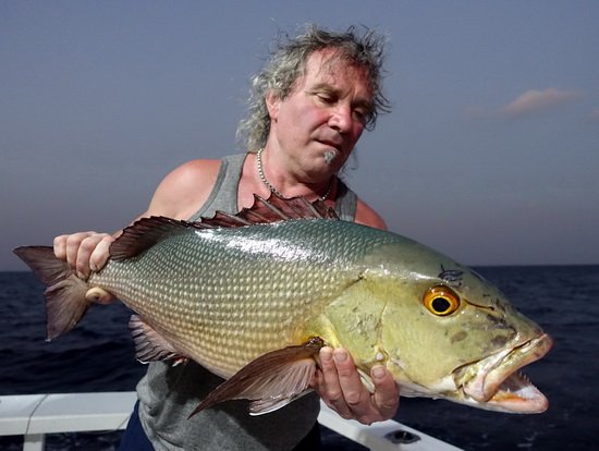 chnapal, red snapper 78 cm, 7,02 kg uloveny na jerk chnapal, red snapper 78 cm, 7,02 kg uloveny na jerk