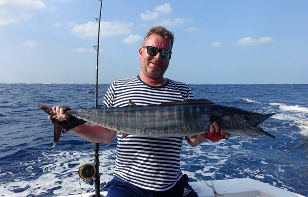 makrela Solandrova-wahoo 114 cm makrela Solandrova-wahoo 114 cm