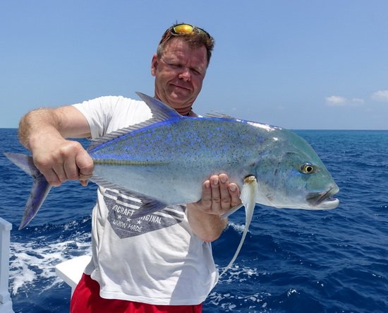 kranas modroploutvy-bluefin 72 cm uloveny na jerk kranas modroploutvy-bluefin 72 cm uloveny na jerk