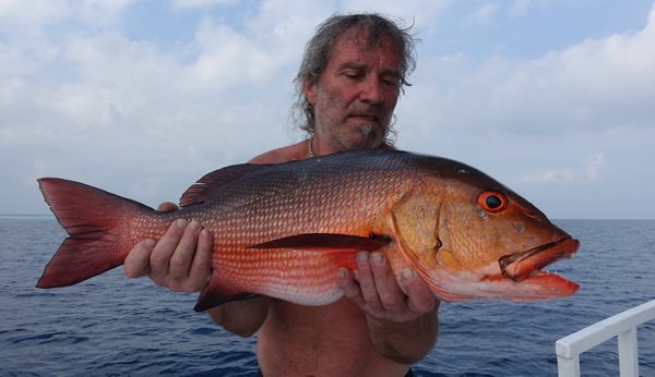 chnapal - red snapper 69 cm uloveny na jerk