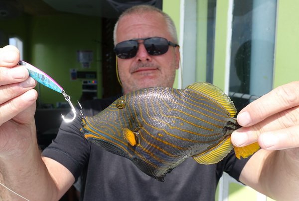 ostenec - triggerfish ostenec - triggerfish