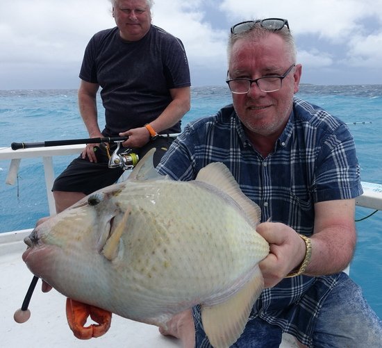 ostenec - triggerfish ostenec - triggerfish