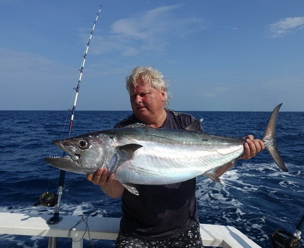tunak jednobarvy-dogtooth 107 cm uloveny na trolling tunak jednobarvy-dogtooth 107 cm uloveny na trolling