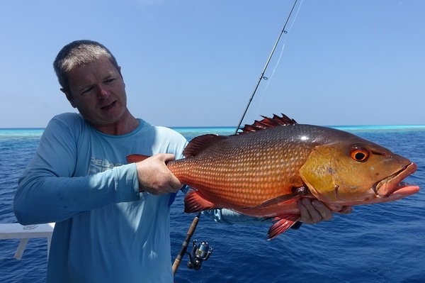 chnapal - red snapper 73 cm uloveny na popp