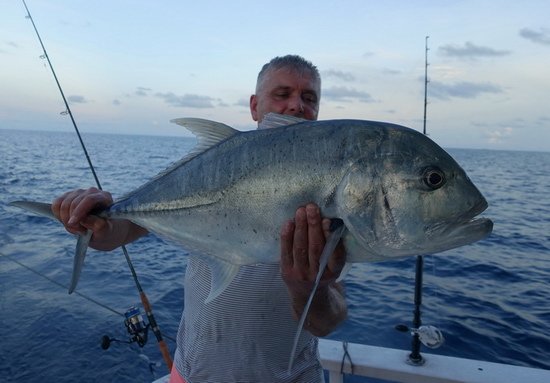 Pavluv prvni kranas obrovsky-GT, 75 cm Pavluv prvni kranas obrovsky-GT, 75 cm