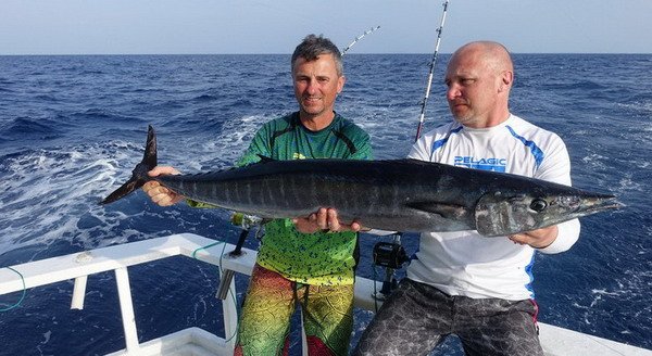 makrela Solandrova-wahoo 123 cm ulovena na trolling