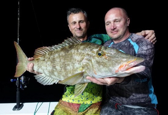 cejnovka 70 cm ulovena na kousek ryby nastrazeny u dna