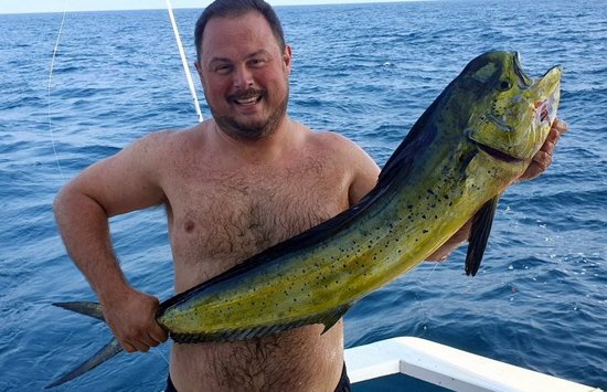 zlak nachovy - dorado ulovene na trolling zlak nachovy - dorado ulovene na trolling