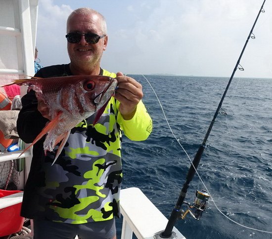 zdolany chnapal ruby jobfish po utoku zraloka zdolany chnapal ruby jobfish po utoku zraloka