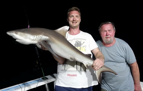 zralok hedvabny 125 cm, vecerni ulovek na polozenou zralok hedvabny 125 cm, vecerni ulovek na polozenou