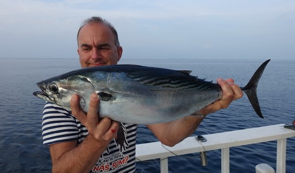bonito 66 cm ulovene na popp bonito 66 cm ulovene na popp