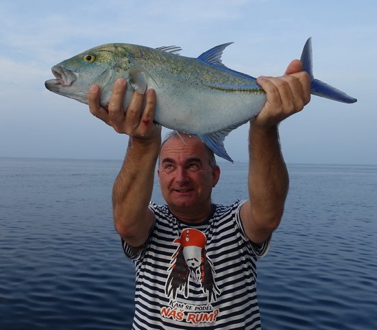 kranas modroploutvy 62 cm uloveny na jerk kranas modroploutvy 62 cm uloveny na jerk