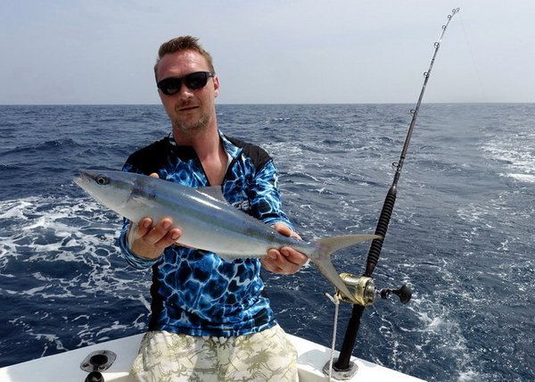kranas duhovy-rainbow runner 55 cm kranas duhovy-rainbow runner 55 cm