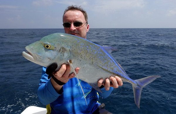 kranas modroploutvy - bluefin 63 cm uloveny na popp kranas modroploutvy - bluefin 63 cm uloveny na popp