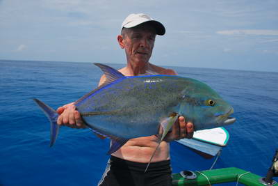 kranas (bluefin) 4 kg