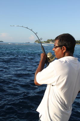 jigging jigging