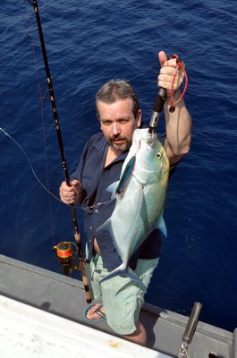 kranas modroploutvy - bluefin kranas modroploutvy - bluefin
