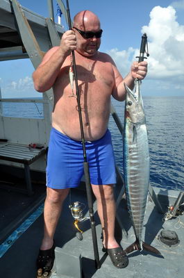 pelamida - wahoo, uloveno na trolling pelamida - wahoo, uloveno na trolling