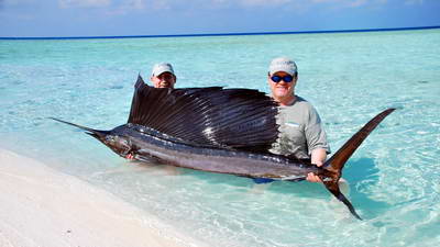 plachetnik - sailfish 250 cm uloveny na wobbler X-rap