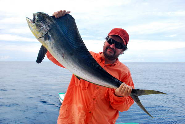 zlak nachovy - dorado 120 cm zlak nachovy - dorado 120 cm