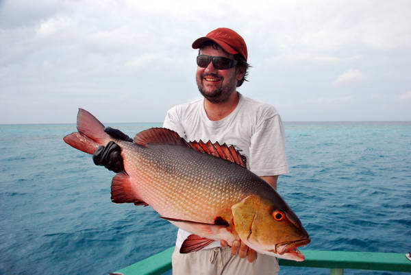 chnapal - snapper