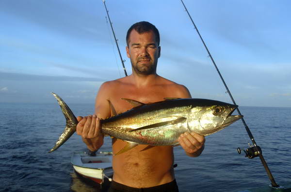 tunak - yellowfin - 7 kg