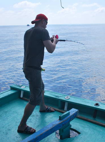 jigging jigging