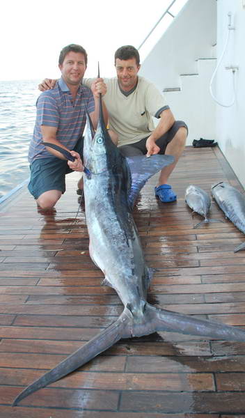 mecoun - blue marlin 244 cm