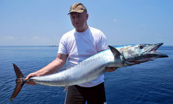 pelamida - wahoo 145 cm pelamida - wahoo 145 cm