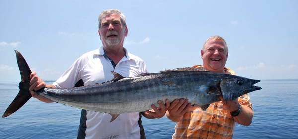 pelamida - wahoo 145 cm pelamida - wahoo 145 cm
