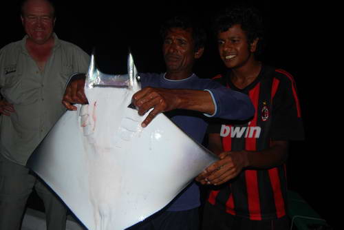 manta manta