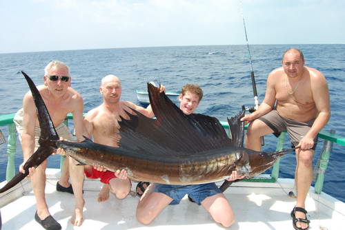 plachetnik - sailfish